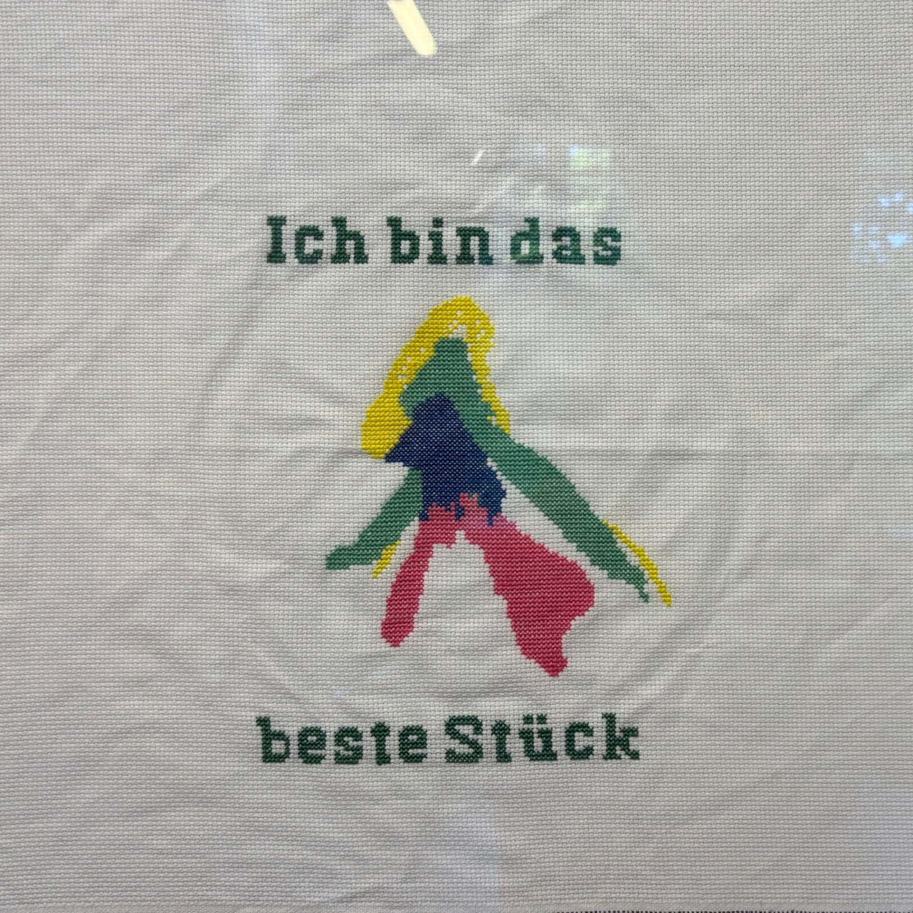 Stickerei „Ich bin das beste Stück“ mit farbiger Klitoris-Darstellung