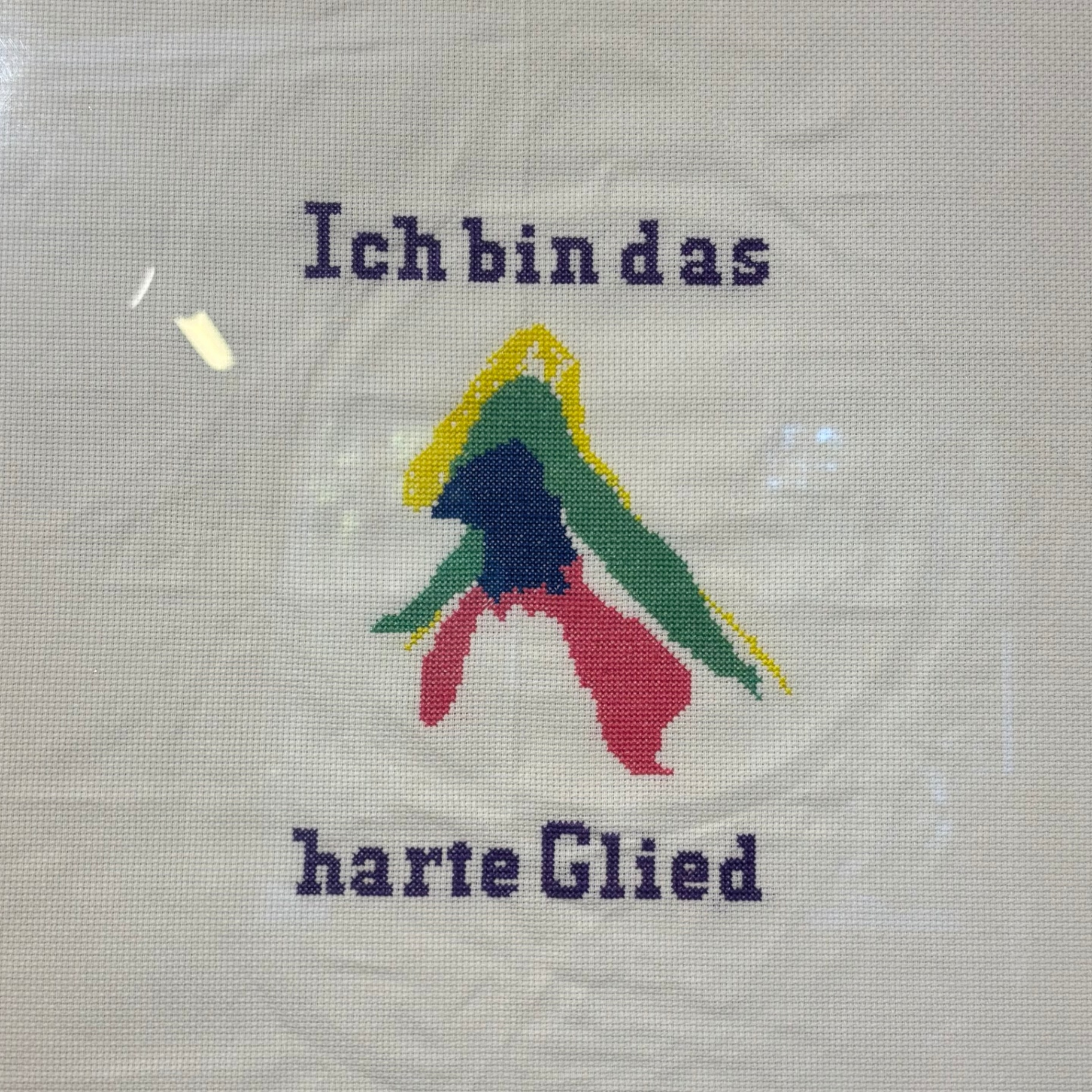 Stickerei „Ich bin das harte Glied“ mit farbiger Klitoris-Darstellung