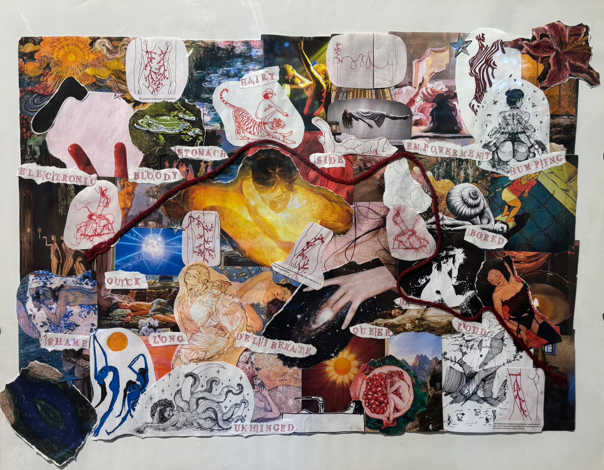 Collage zur Vielfalt weiblicher Masturbationspraktiken